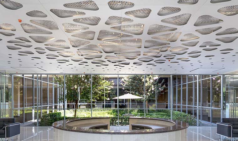 USG Ceiling Plus Parti